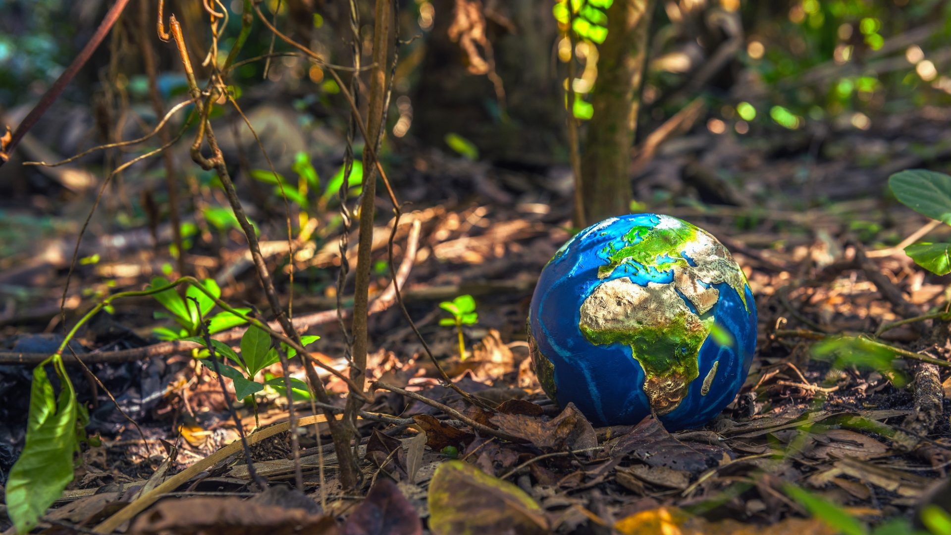 Reconnecting with Nature for Spiritual Growth